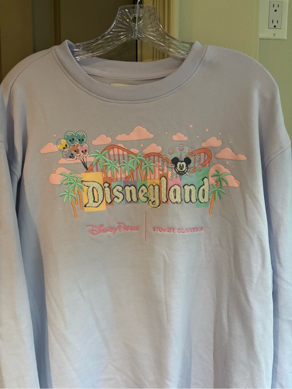 Disneyland Sweatshirt - Stoney Clover c Disney Parks